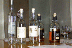 grappa9