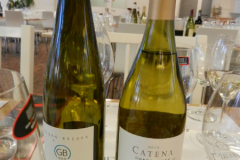 vin-och-glasprovning-6