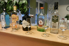 gin-provning-2012-001
