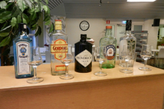 gin-provning-2012-002