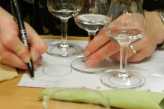 gin-provning-2012-008