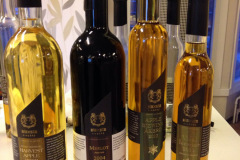 20140325_173057488_ios