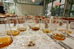 20260122_223536679_iOS